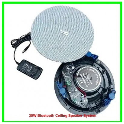 30W Bluetooth Ceiling Speaker System