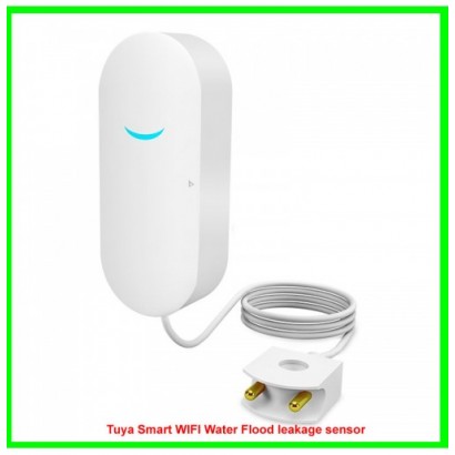 Tuya Smart WIFI Water Flood leakage sensor
