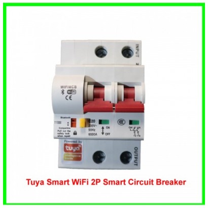 Tuya Smart WiFi 2P Smart Circuit Breaker